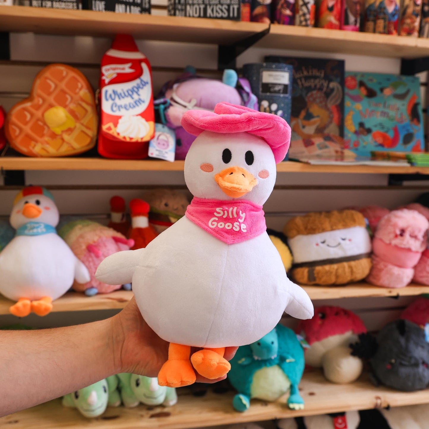 Plush toy goose with a pink bandana labeled 'Silly Goose' held in front of a shelf with various items.