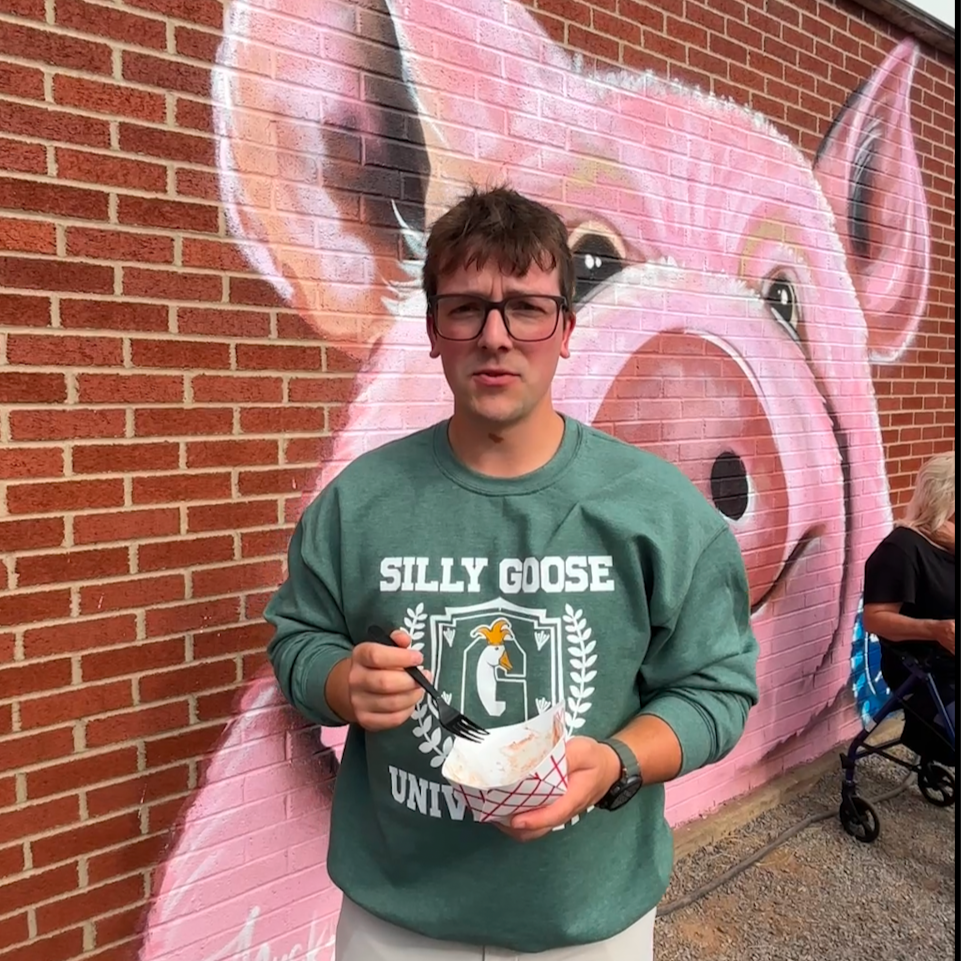Person wearing a 'Silly Goose University' sweatshirt in front of a pink pig mural on a brick wall.