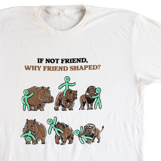 If Not Friend, Why Friend Shaped T-Shirt