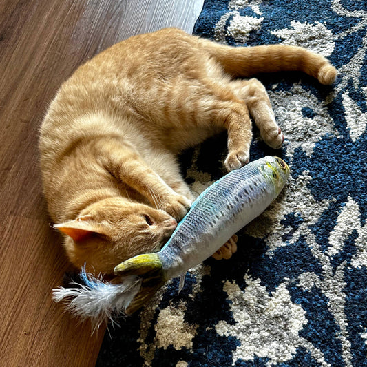 Sardine Kicker Cat Toy