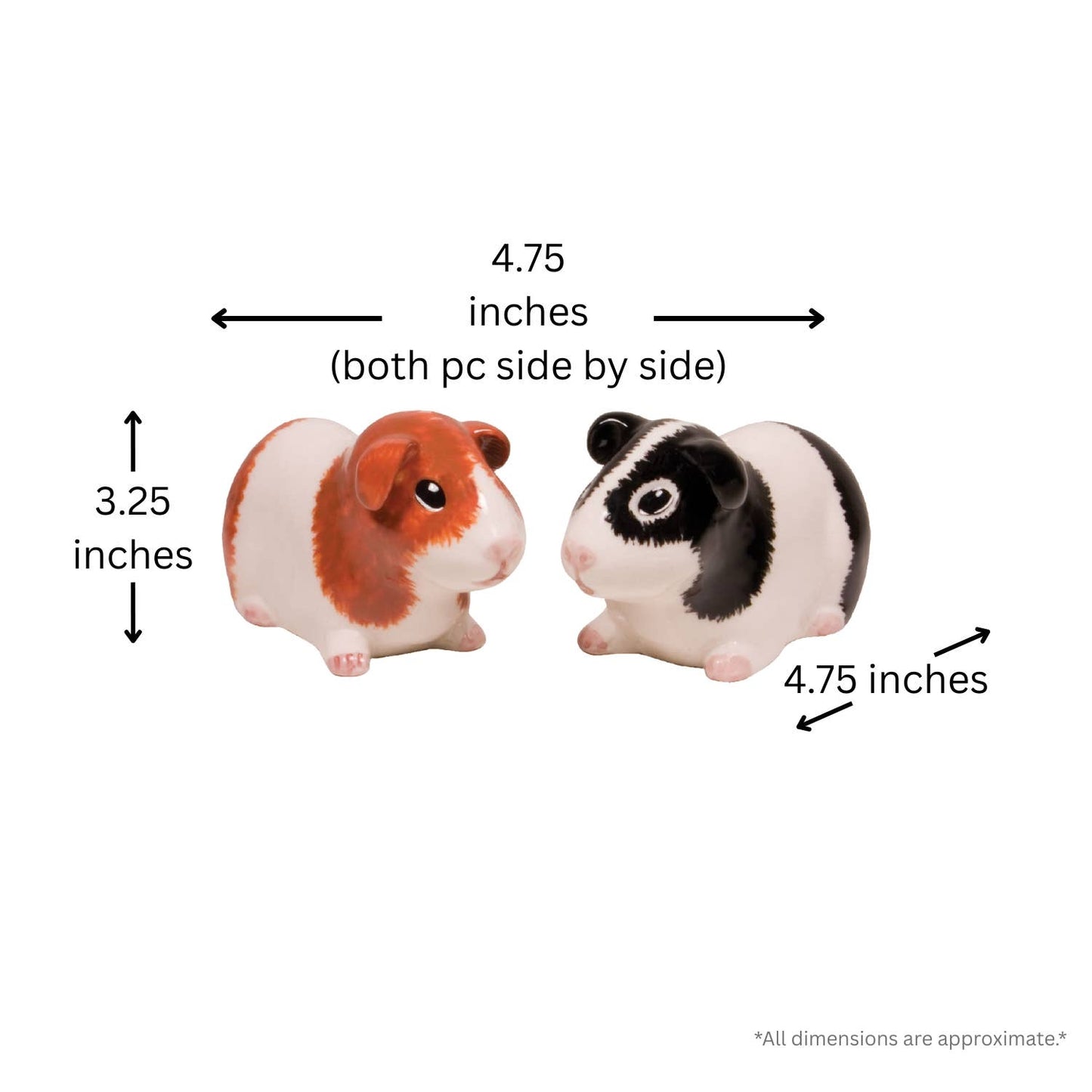 Guinea Pig Salt & Pepper Set