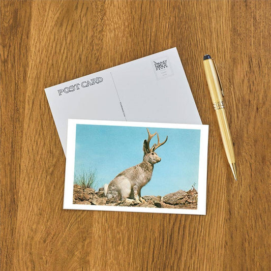 Postcard NP-495 Jackalope