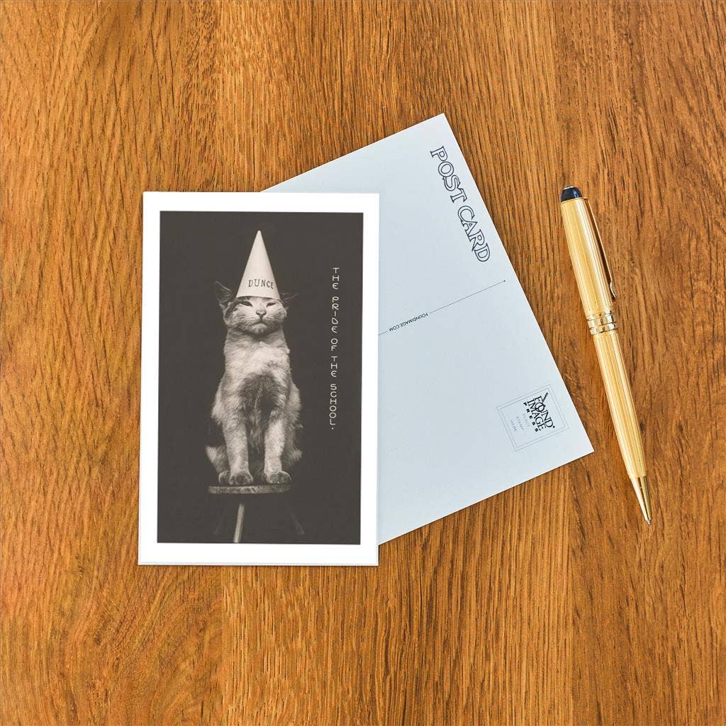 Postcard KC-30 Cat in Dunce Cap