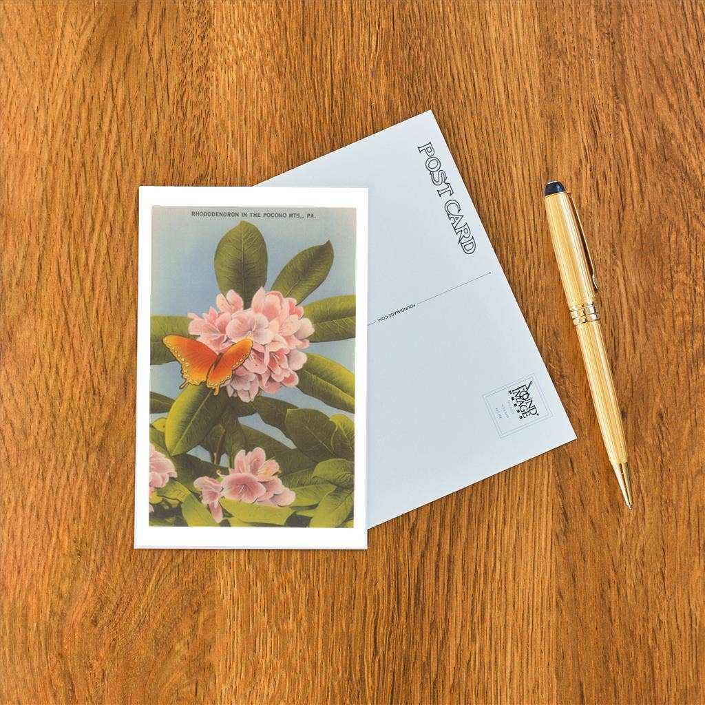 Postcard PA-590 Rhododendron, Poconos