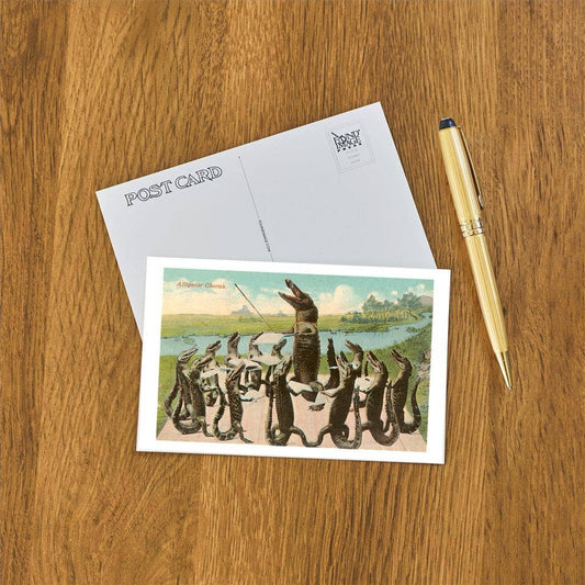 Postcard FL-781 Alligator Chorus