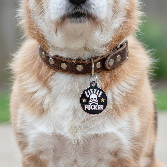 Personalized Dog ID Tag w/ Scannable Code - Little Fucker