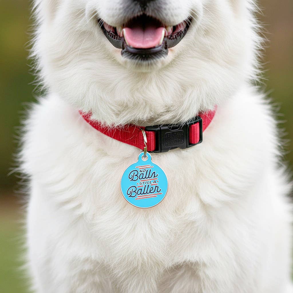 Personalized Pet ID Tag w/QR Code - No Balls Still a Baller