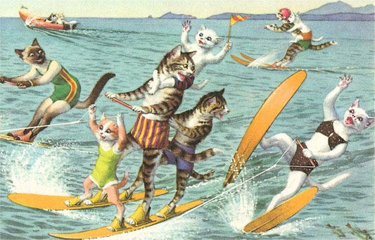 Postcard KC-181 Crazy Cats Waterskiing