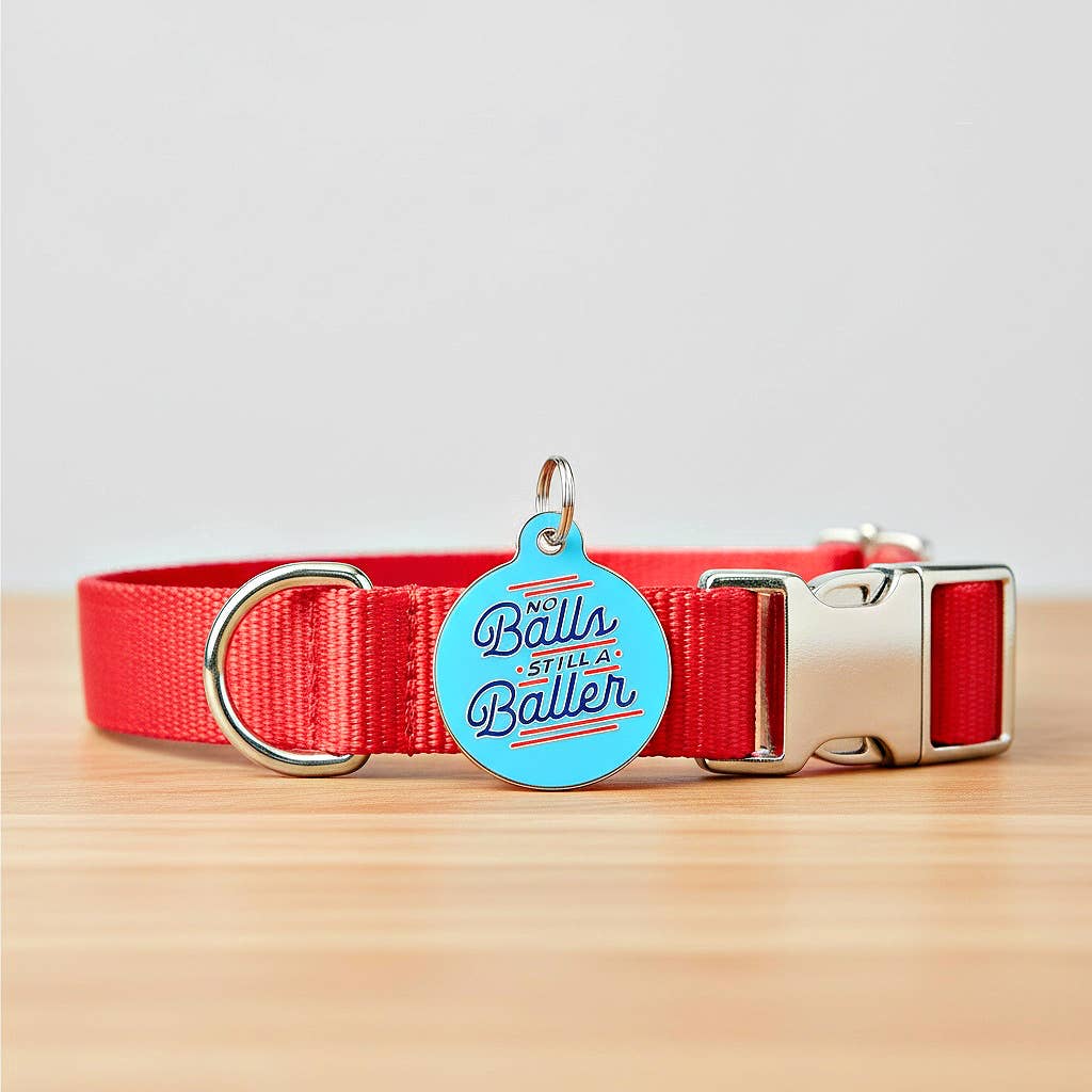 Personalized Pet ID Tag w/QR Code - No Balls Still a Baller