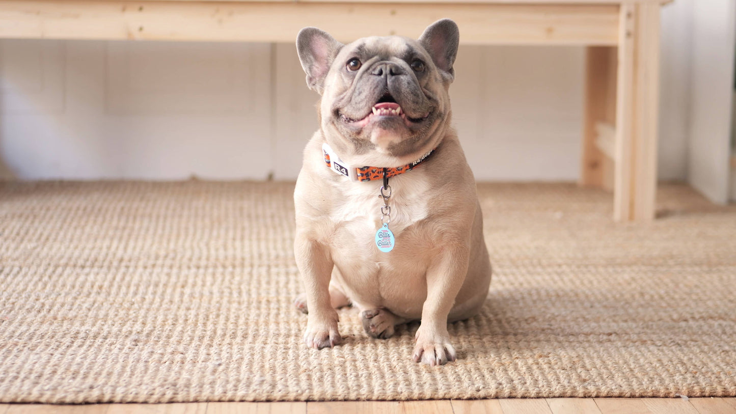 Personalized Pet ID Tag w/QR Code - No Balls Still a Baller