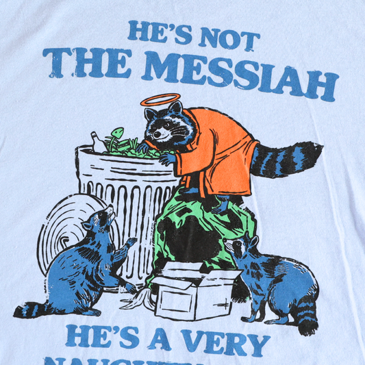 He's A Very Naughty Boy Raccoon T-Shirt
