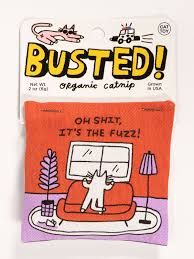 Busted - Catnip