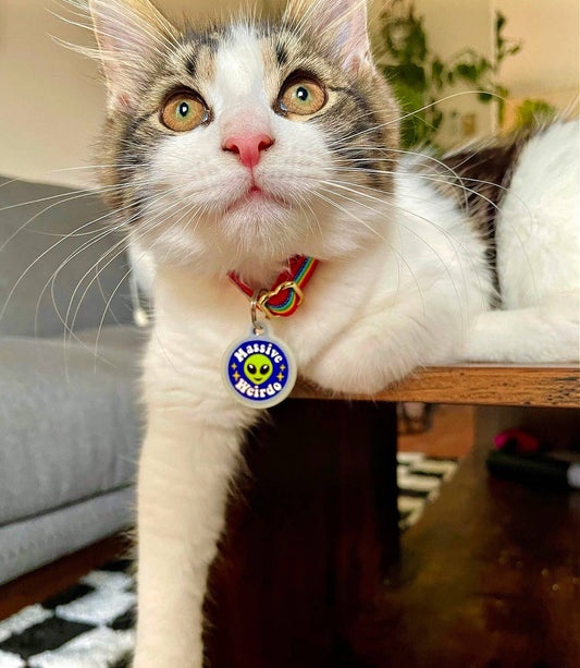 Alien Dog ID Tag with Personalized QR Code - Massive Weirdo