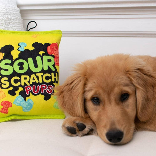 Sour Scratch Dog Toy