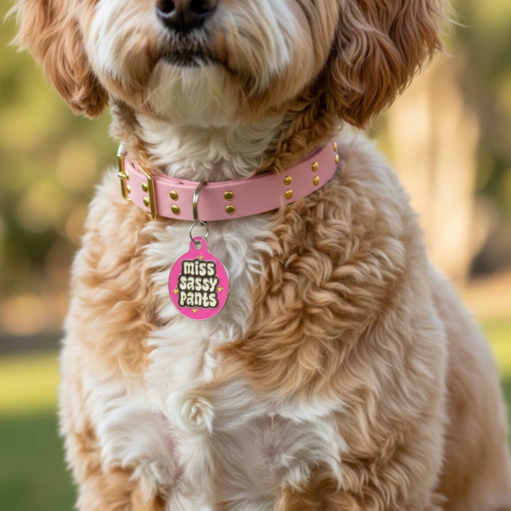 Dog ID Tag with Personalized QR Code - Miss Sassy Pants