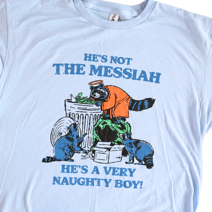 He's A Very Naughty Boy Raccoon T-Shirt