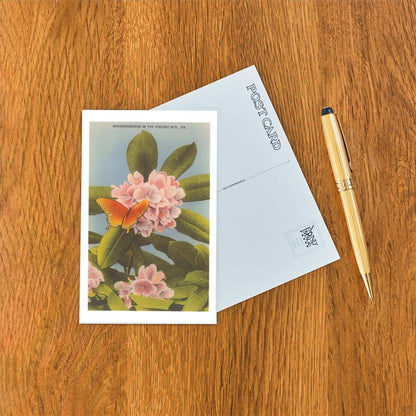 Postcard PA-590 Rhododendron, Poconos
