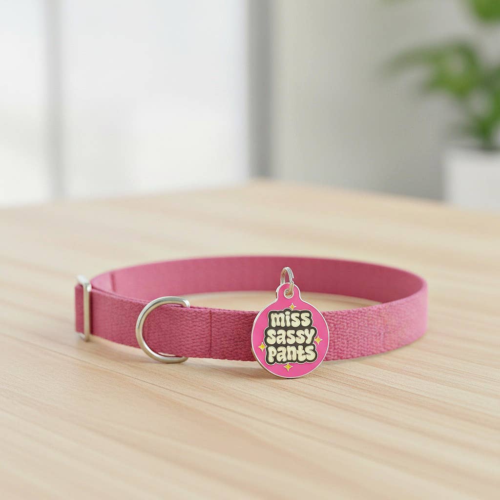 Dog ID Tag with Personalized QR Code - Miss Sassy Pants
