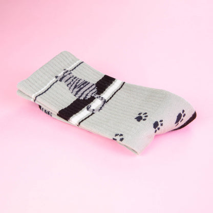 Sitting Gray Tabby Cat Gym Crew Socks