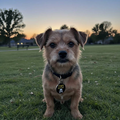 Dog ID Tag with Personalized QR Code - Tiny Terror ☠️