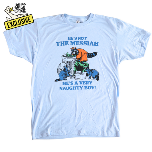 He's A Very Naughty Boy Raccoon T-Shirt